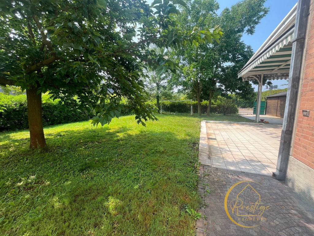 immagine annuncio 4 di 15