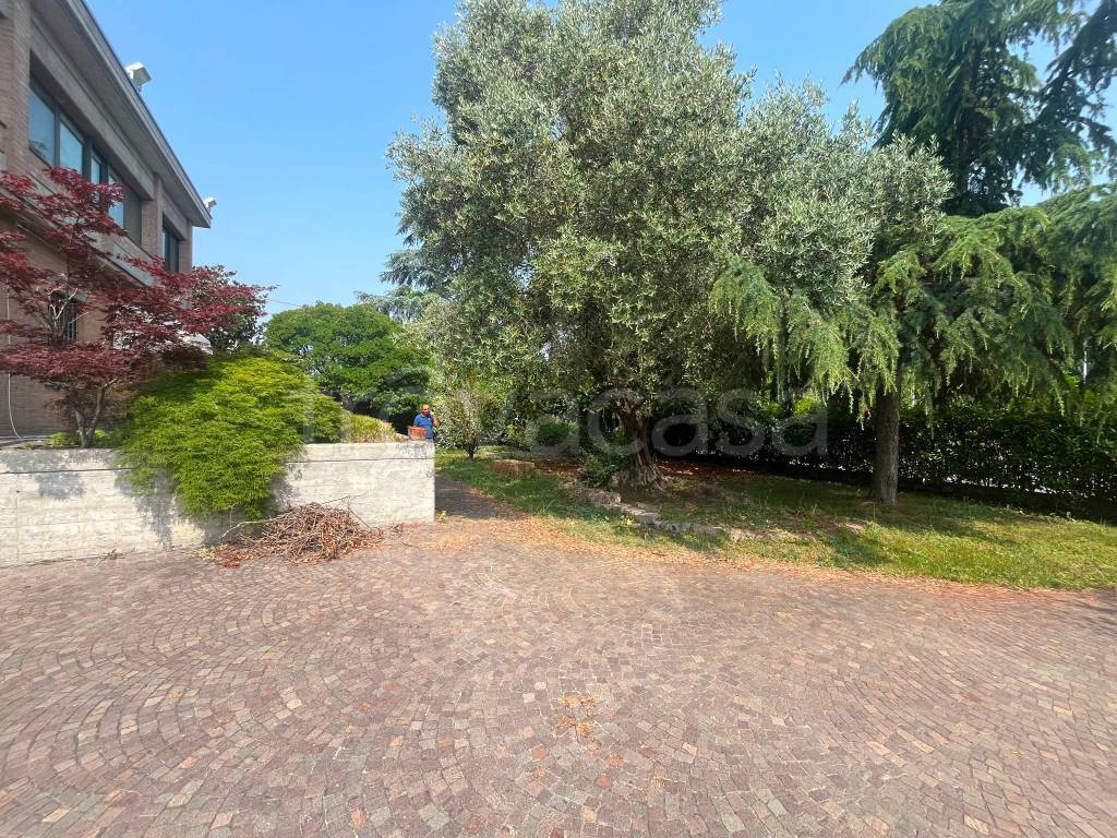 immagine annuncio 5 di 15