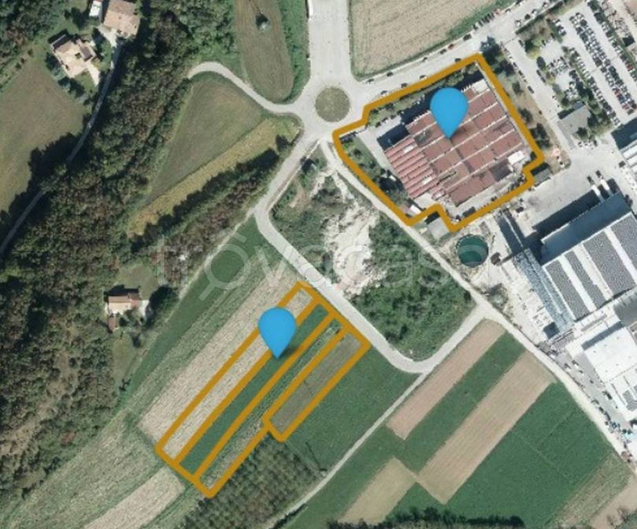 immagine annuncio 7 di 12