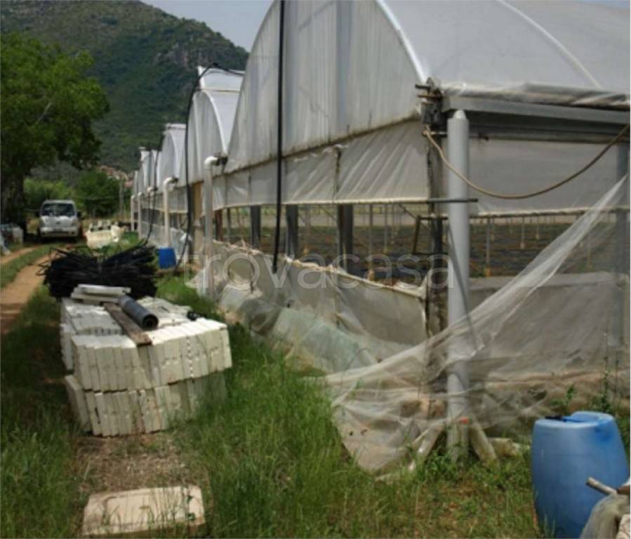 immagine annuncio 4 di 6