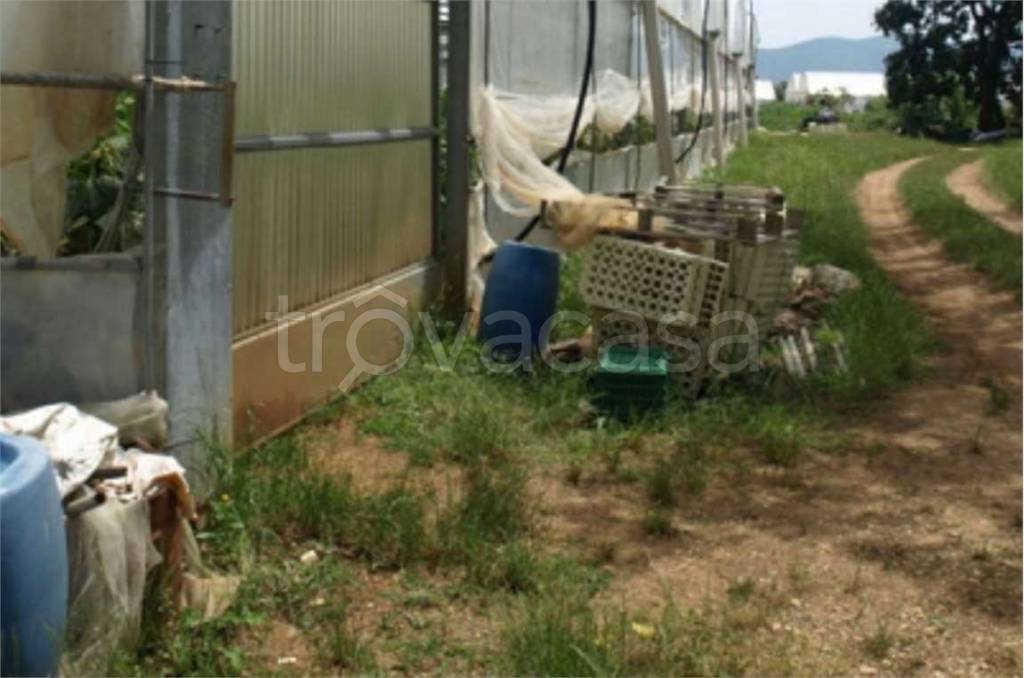 immagine annuncio 5 di 6