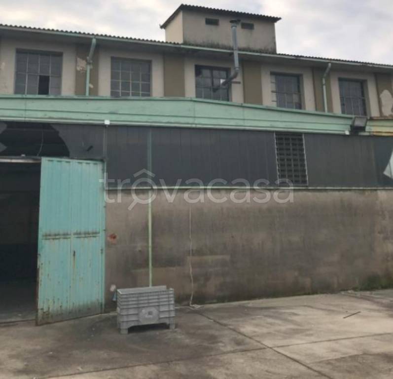 immagine annuncio 3 di 12