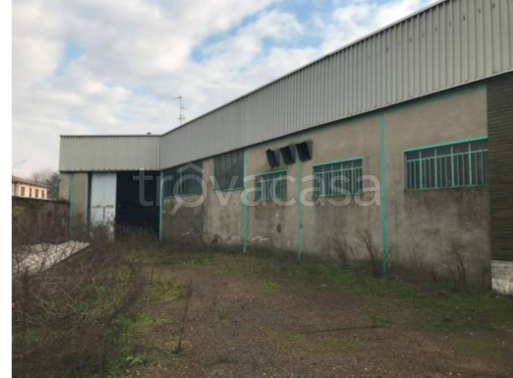 immagine annuncio 4 di 12