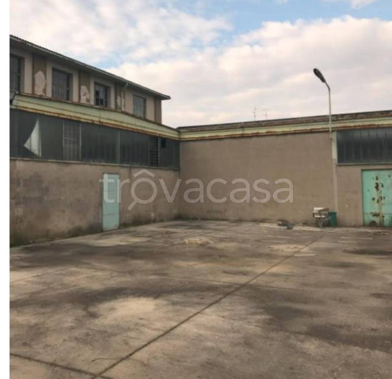 immagine annuncio 5 di 12