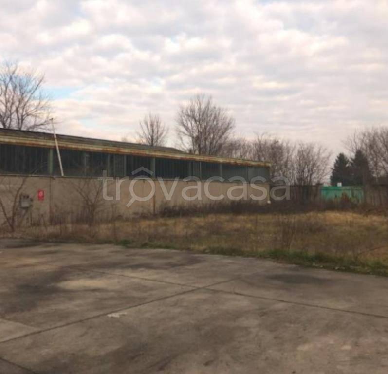 immagine annuncio 6 di 12