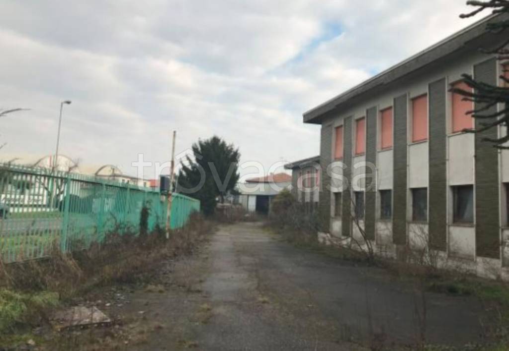 immagine annuncio 7 di 12