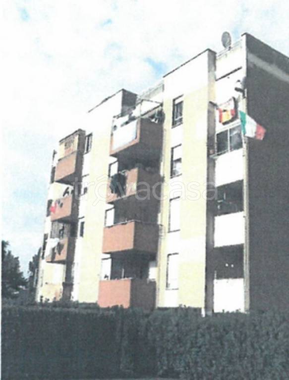 immagine annuncio 5 di 12