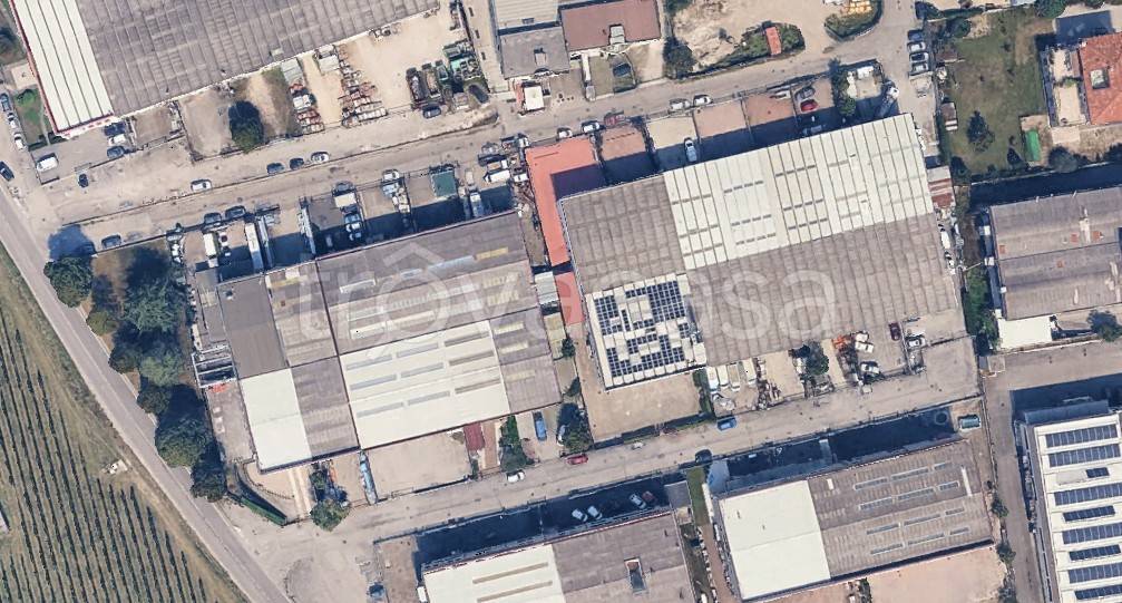 immagine annuncio 2 di 7