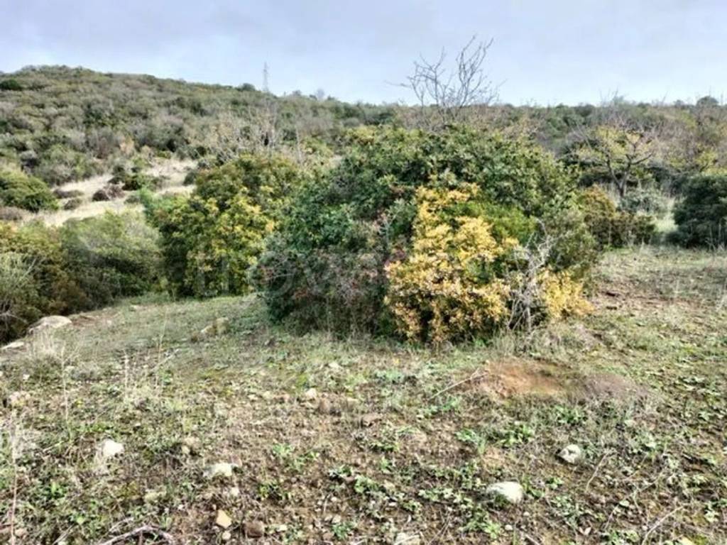 immagine annuncio 5 di 7