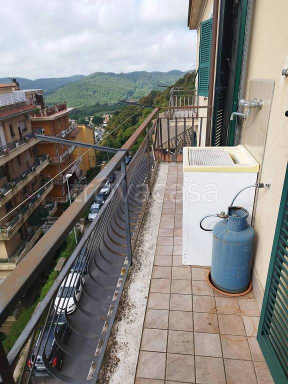 immagine annuncio 3 di 14