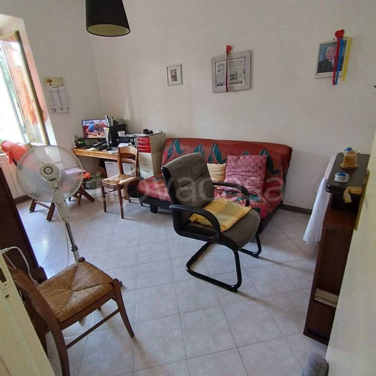 immagine annuncio 5 di 14