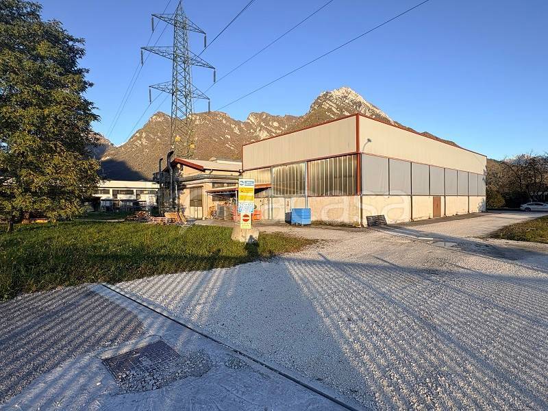 immagine annuncio 4 di 13