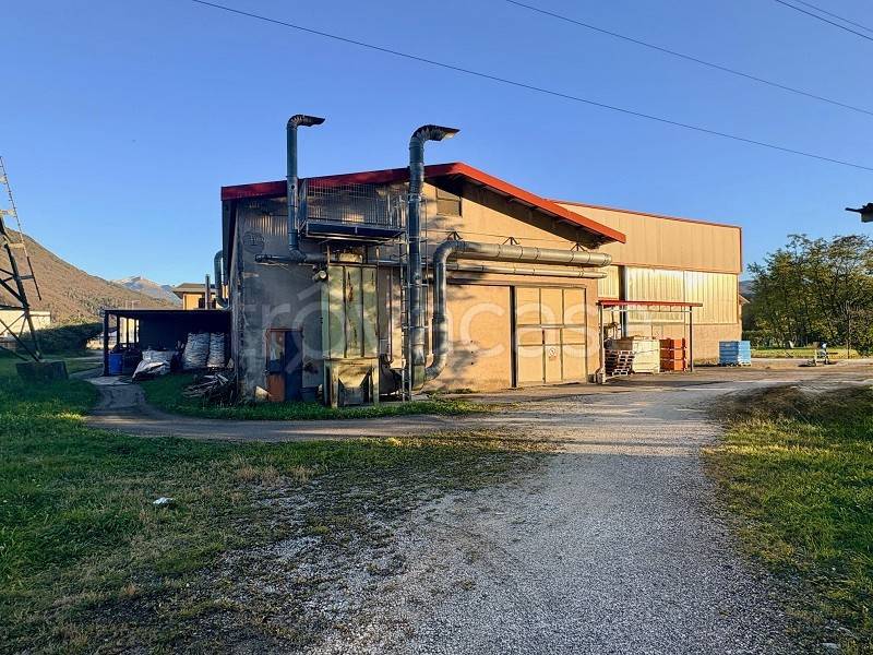 immagine annuncio 5 di 13