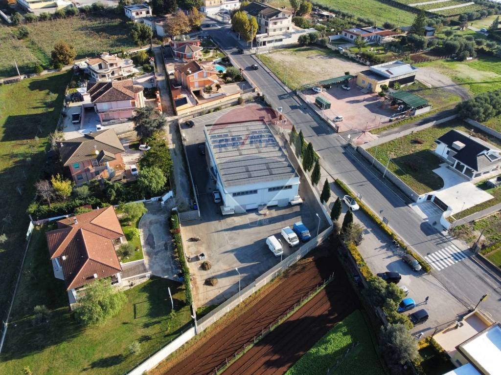 immagine annuncio 7 di 11