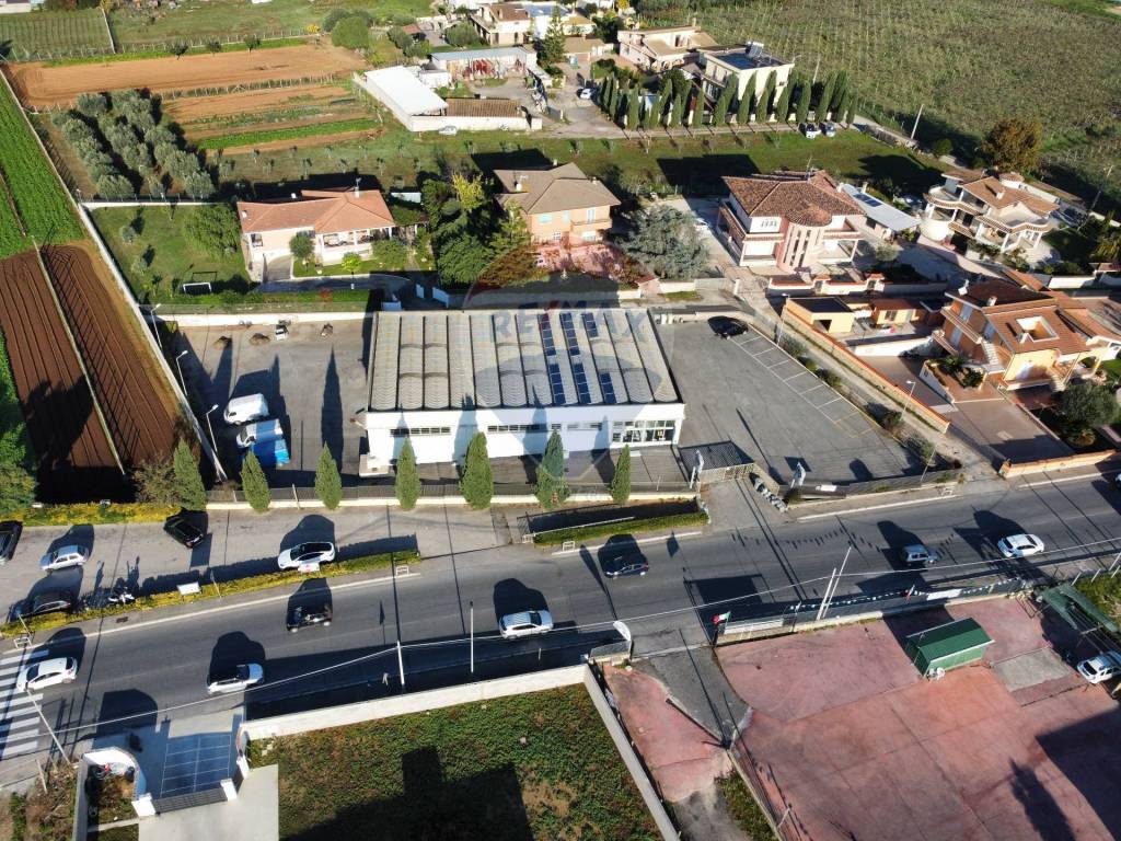 immagine annuncio 10 di 11