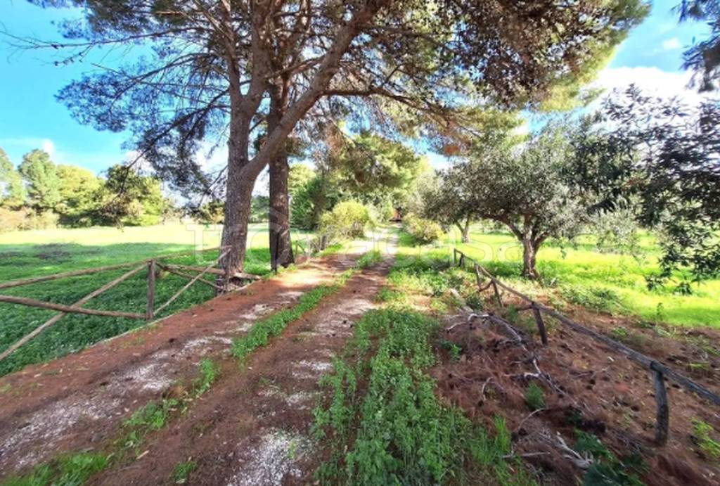 immagine annuncio 8 di 11