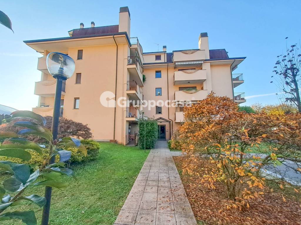 immagine annuncio 1 di 15