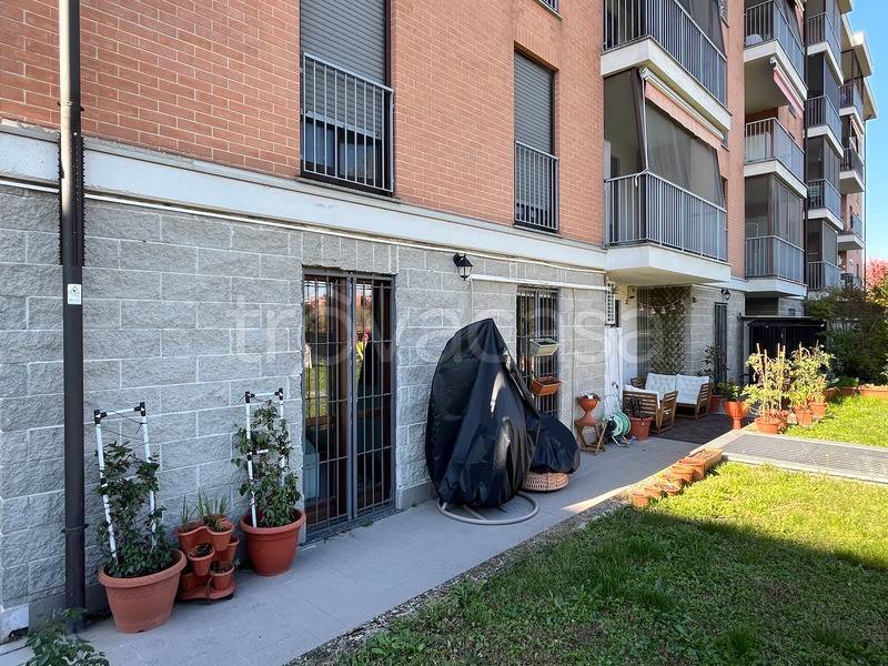 immagine annuncio 6 di 15