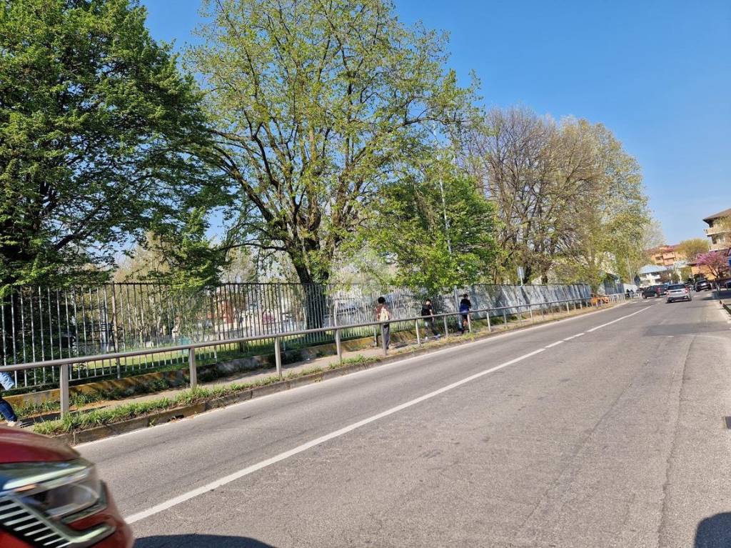 immagine annuncio 11 di 15