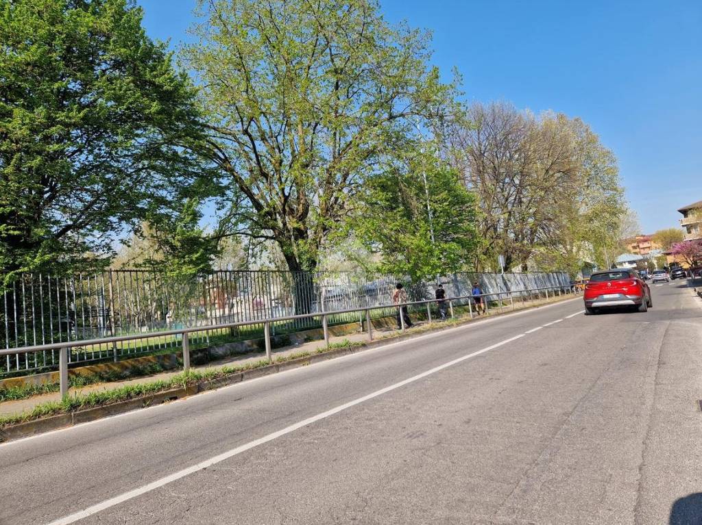 immagine annuncio 14 di 15