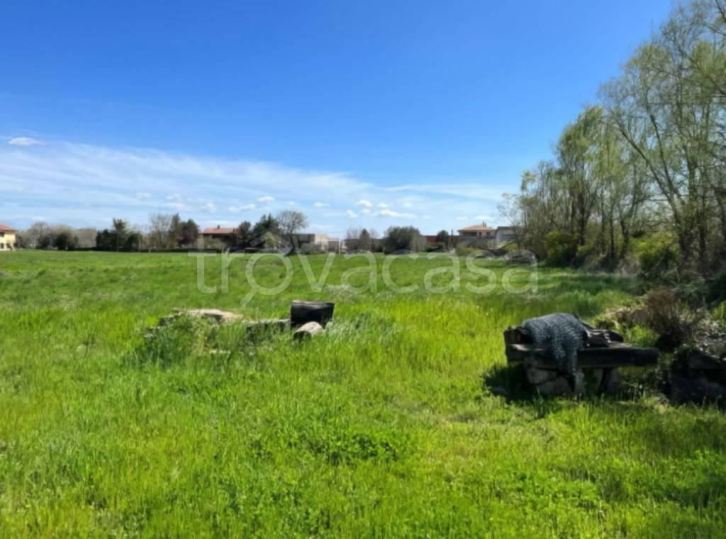 immagine annuncio 5 di 11