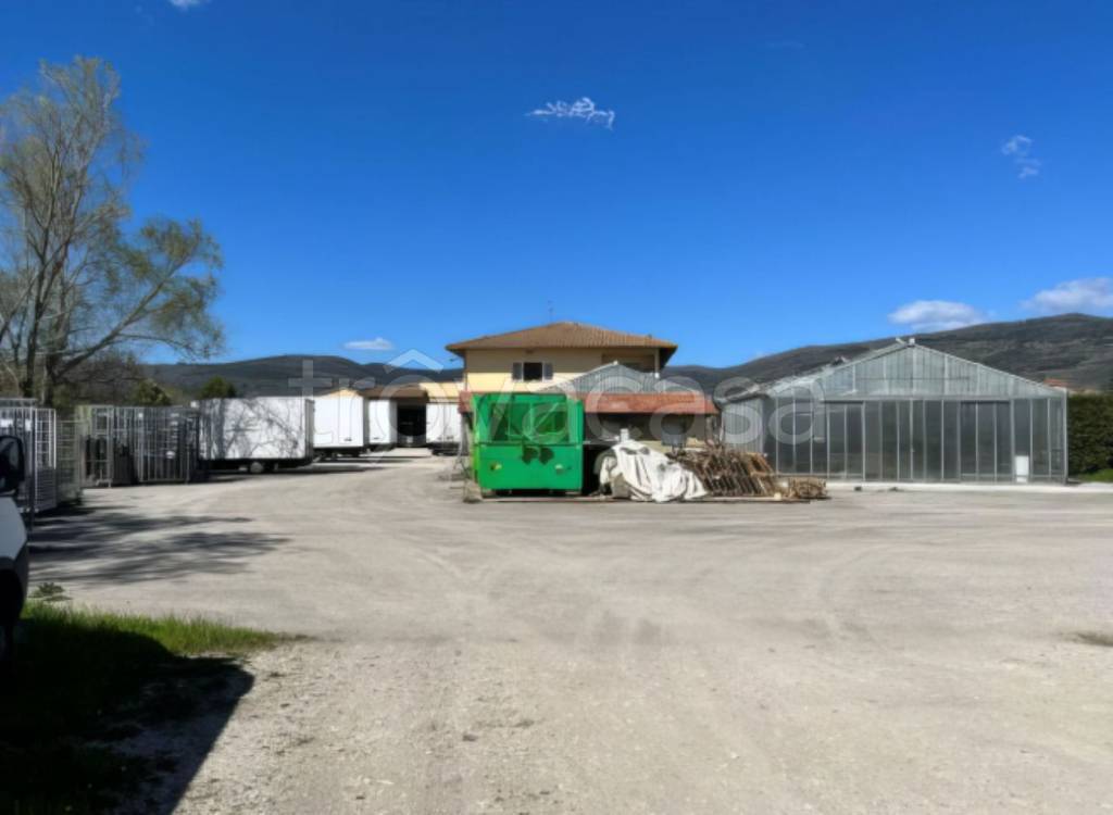 immagine annuncio 8 di 11