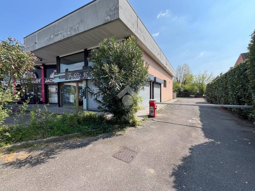 immagine annuncio 3 di 15