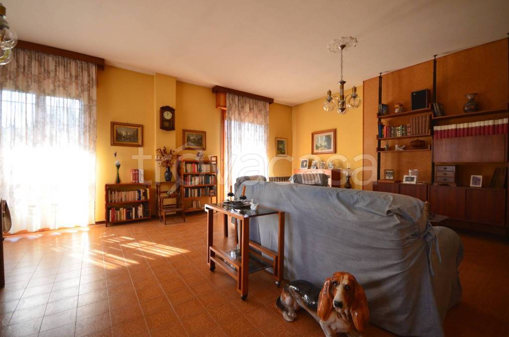 immagine annuncio 11 di 15