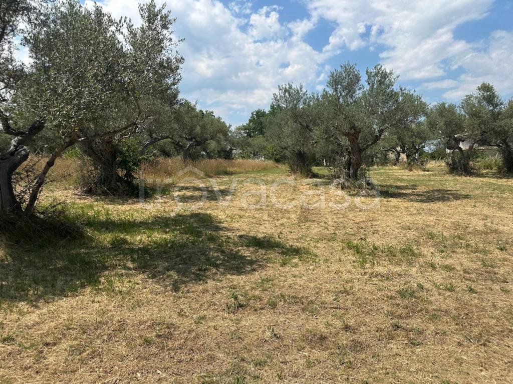 immagine annuncio 9 di 15