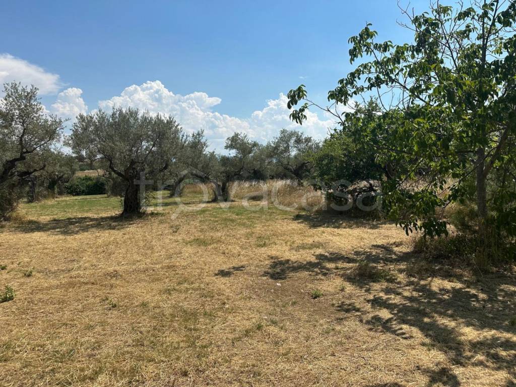 immagine annuncio 13 di 15