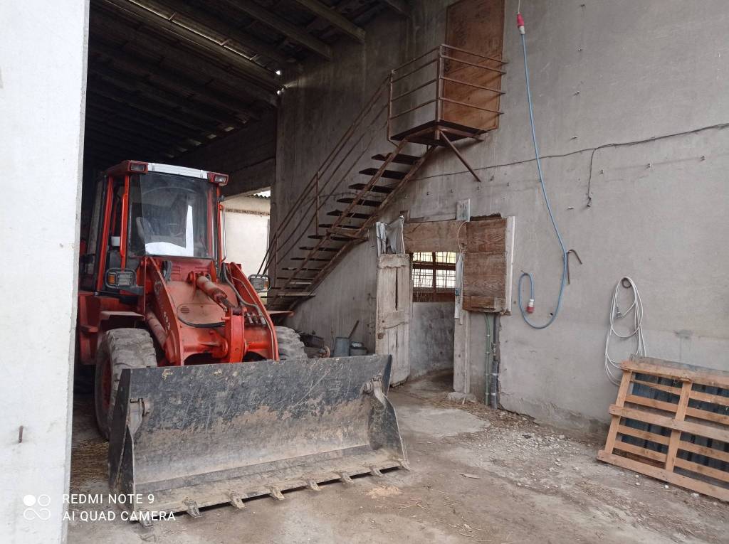 immagine annuncio 4 di 12