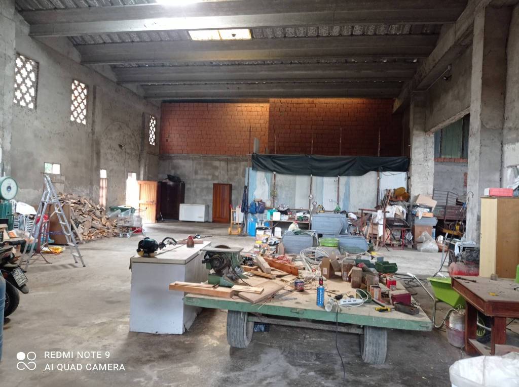 immagine annuncio 6 di 12