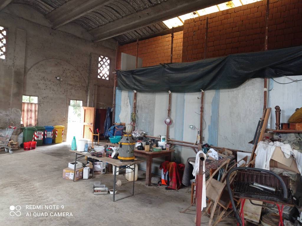 immagine annuncio 9 di 12