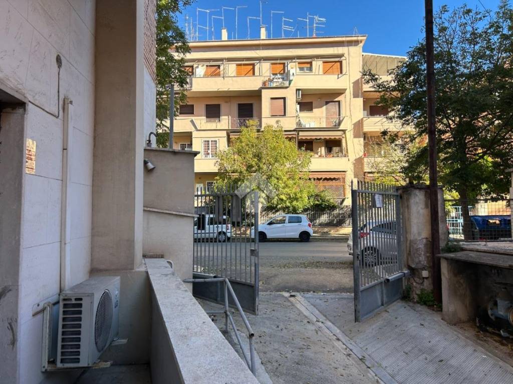 immagine annuncio 11 di 13