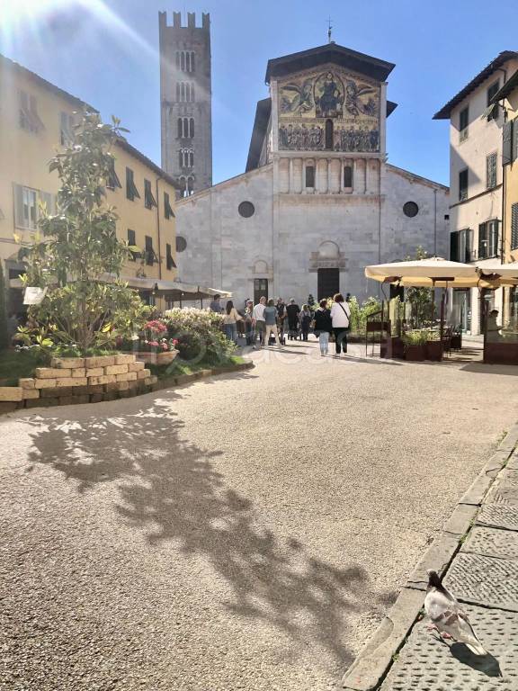 immagine annuncio 8 di 12