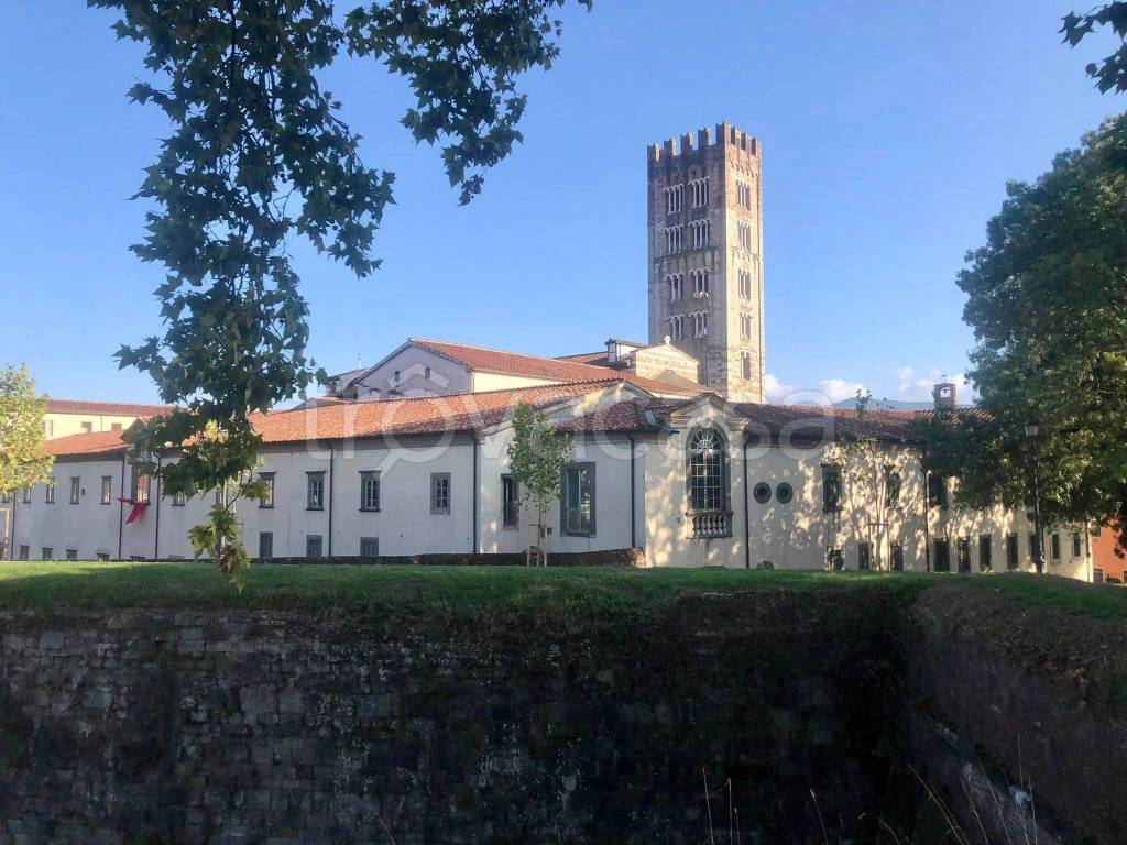 immagine annuncio 6 di 12