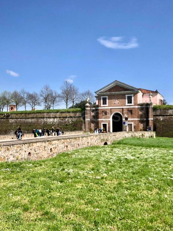 immagine annuncio 8 di 12