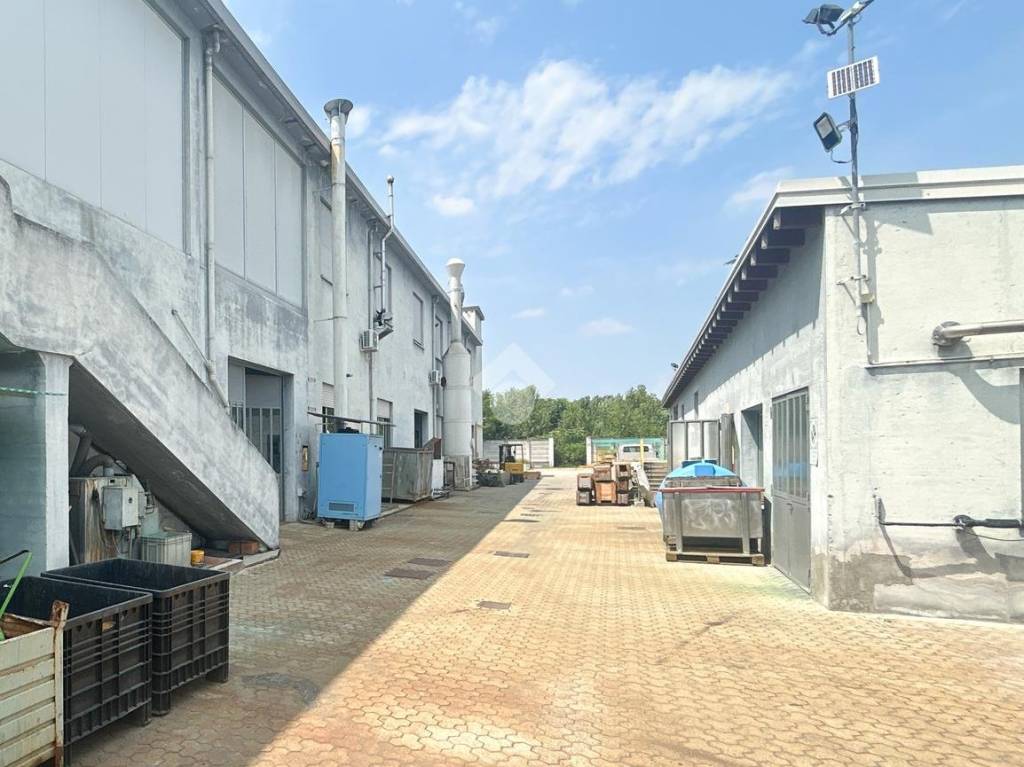 immagine annuncio 4 di 15