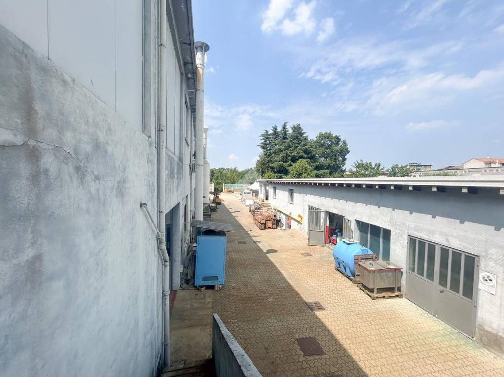 immagine annuncio 5 di 15