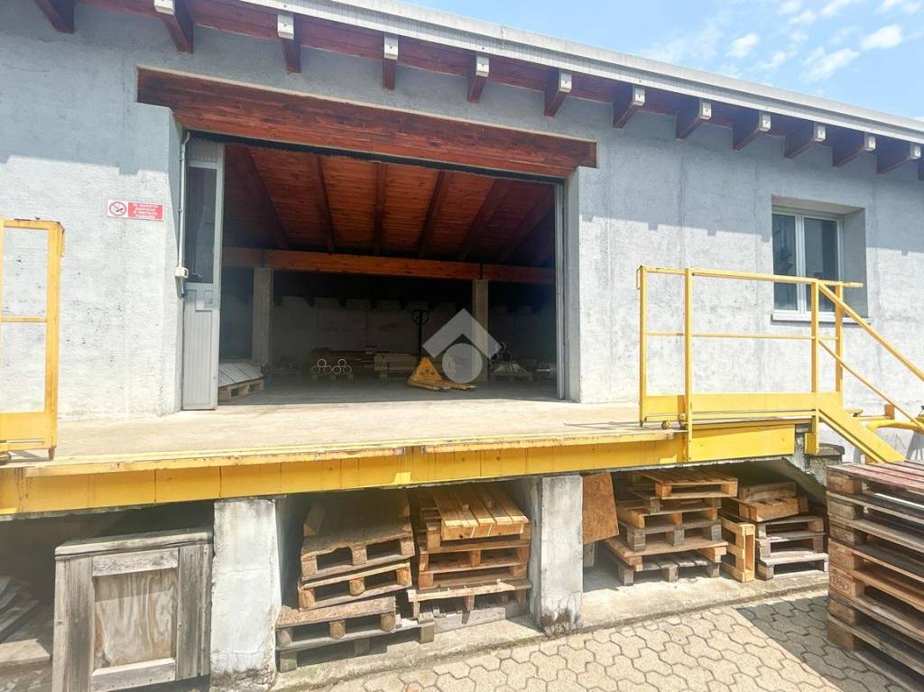 immagine annuncio 6 di 15