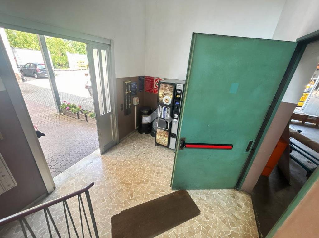 immagine annuncio 11 di 15