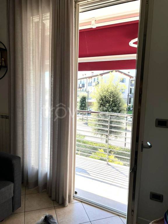 immagine annuncio 6 di 11