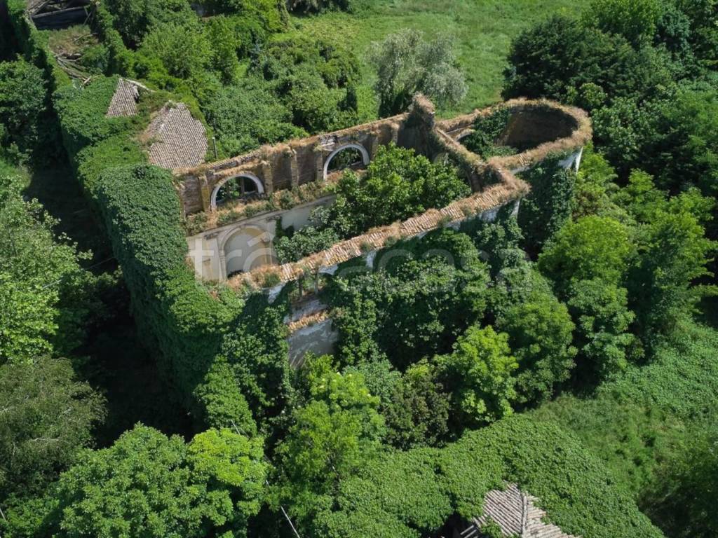 immagine annuncio 4 di 12