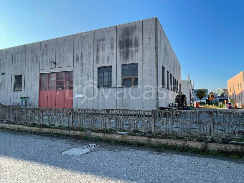 immagine annuncio 1 di 6