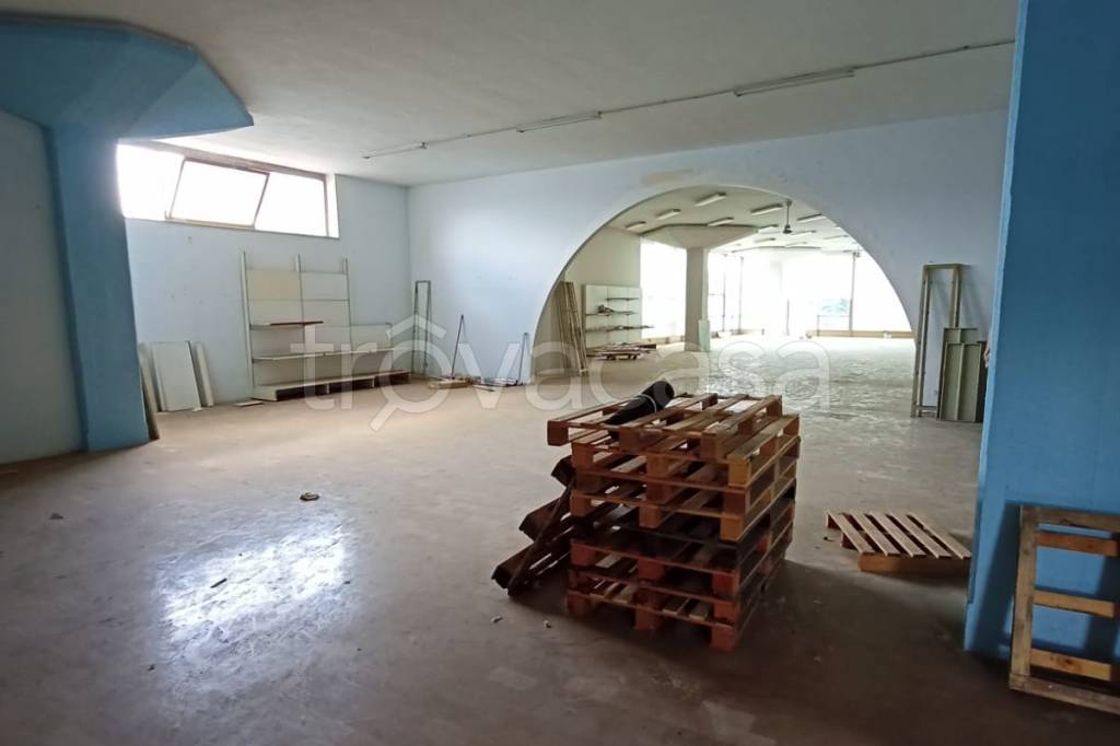 immagine annuncio 3 di 6