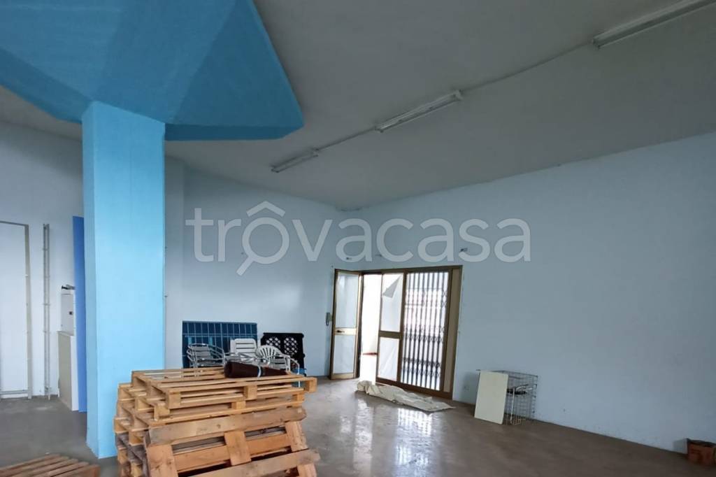 immagine annuncio 4 di 6