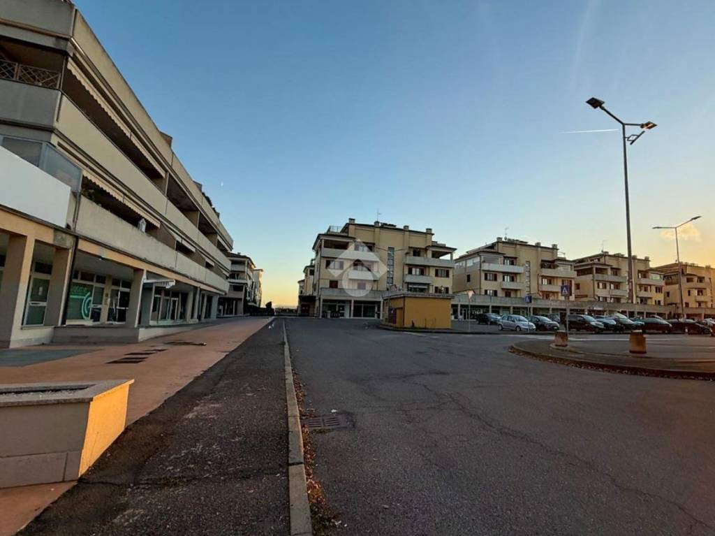 immagine annuncio 12 di 14