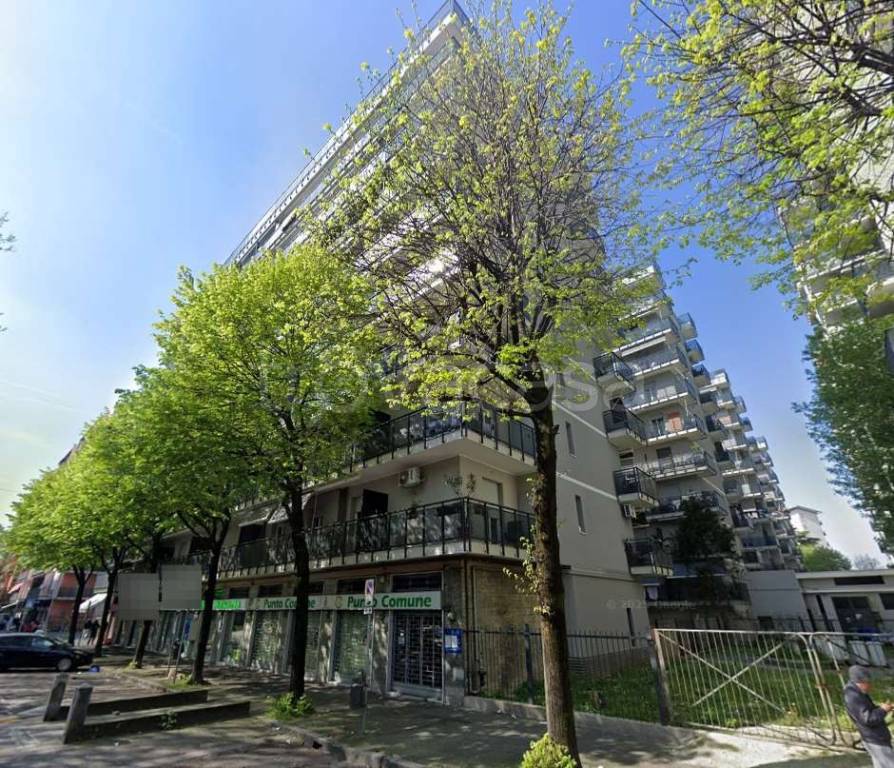 immagine annuncio 13 di 15