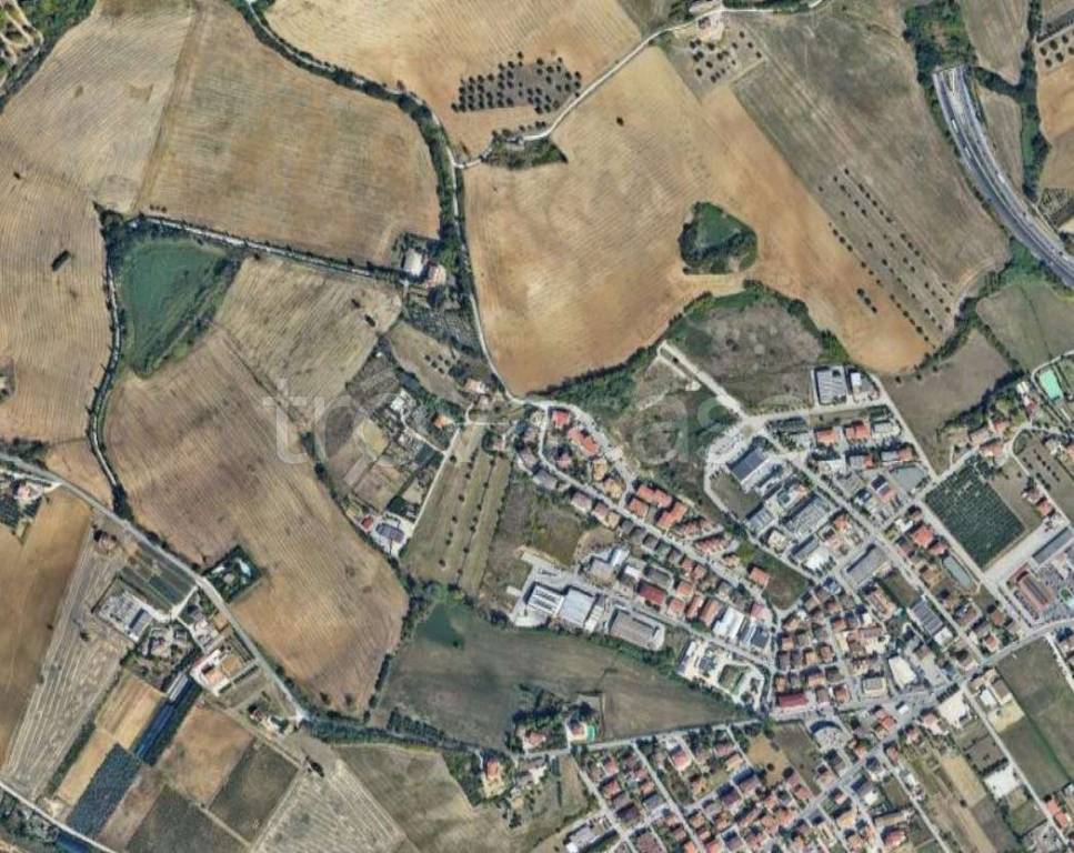 immagine annuncio 9 di 12