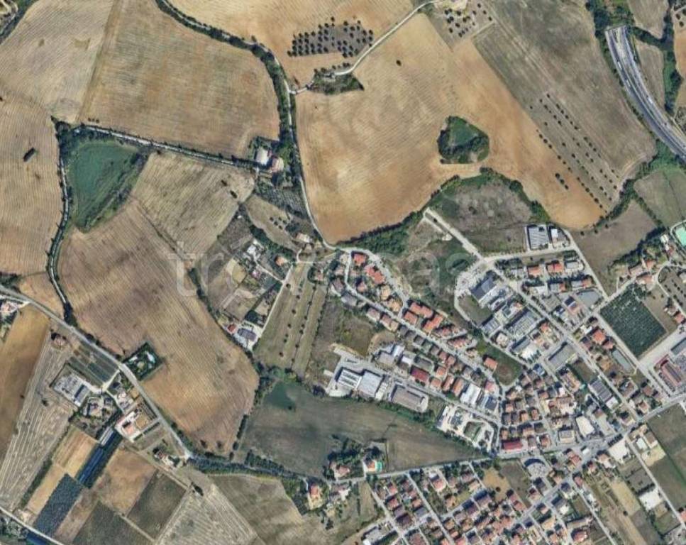 immagine annuncio 10 di 12